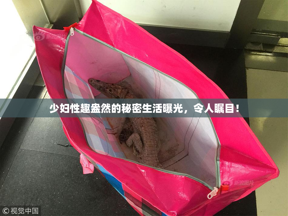 少妇性趣盎然的秘密生活曝光，令人瞩目！