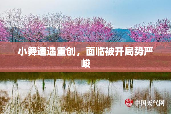 小舞遭遇重创，面临被开局势严峻