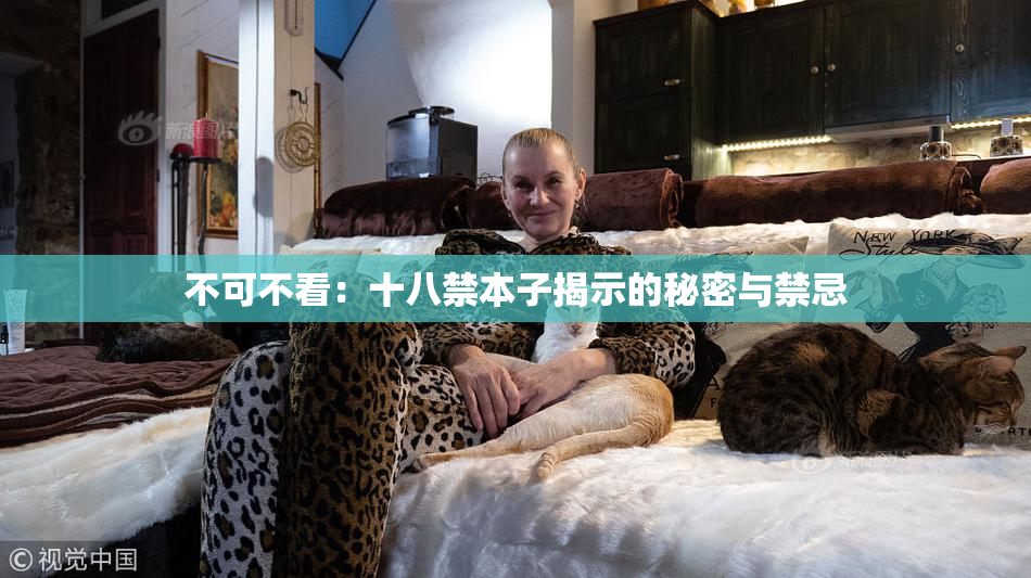 不可不看：十八禁本子揭示的秘密与禁忌
