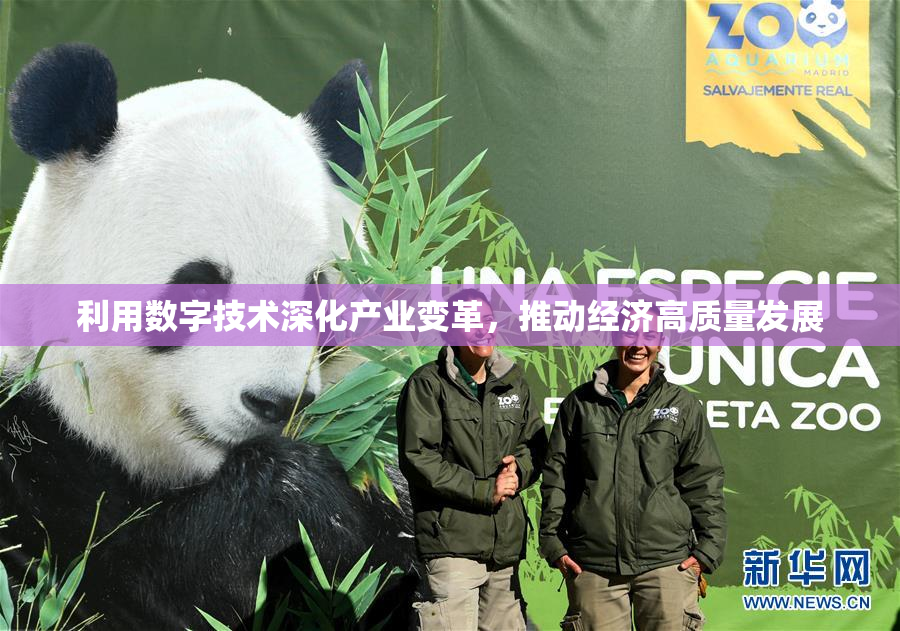 利用数字技术深化产业变革，推动经济高质量发展