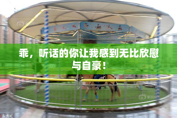 乖，听话的你让我感到无比欣慰与自豪！
