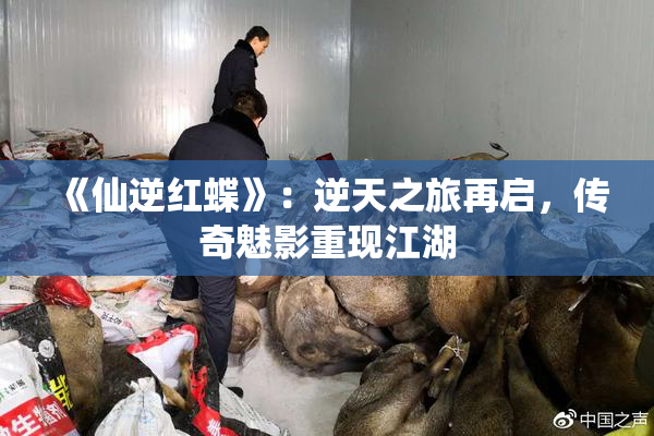 《仙逆红蝶》：逆天之旅再启，传奇魅影重现江湖