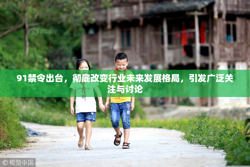 91禁令出台，彻底改变行业未来发展格局，引发广泛关注与讨论