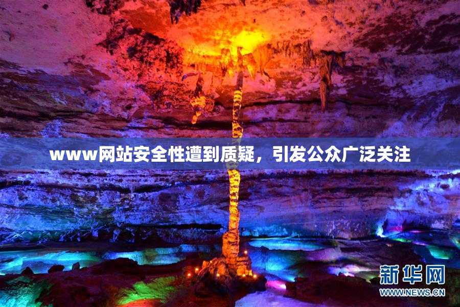 www网站安全性遭到质疑，引发公众广泛关注