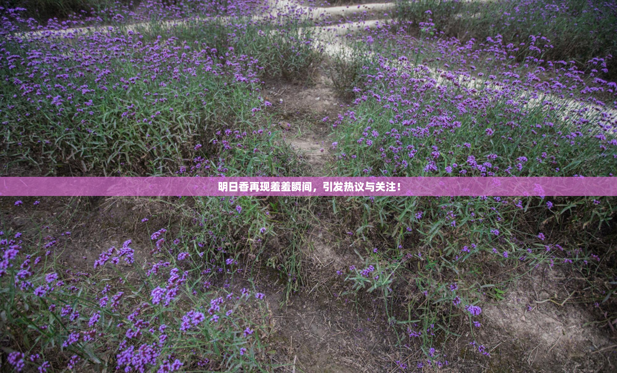明日香再现羞羞瞬间，引发热议与关注！