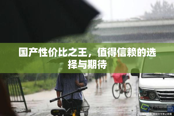 国产性价比之王，值得信赖的选择与期待