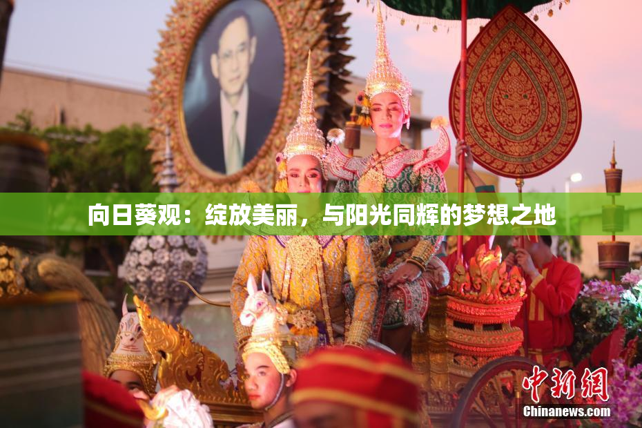 向日葵观：绽放美丽，与阳光同辉的梦想之地