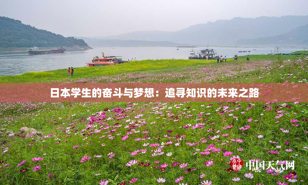 日本学生的奋斗与梦想：追寻知识的未来之路