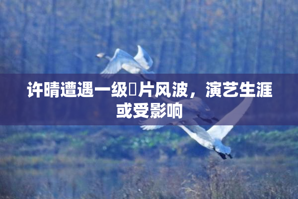 许晴遭遇一级婬片风波，演艺生涯或受影响