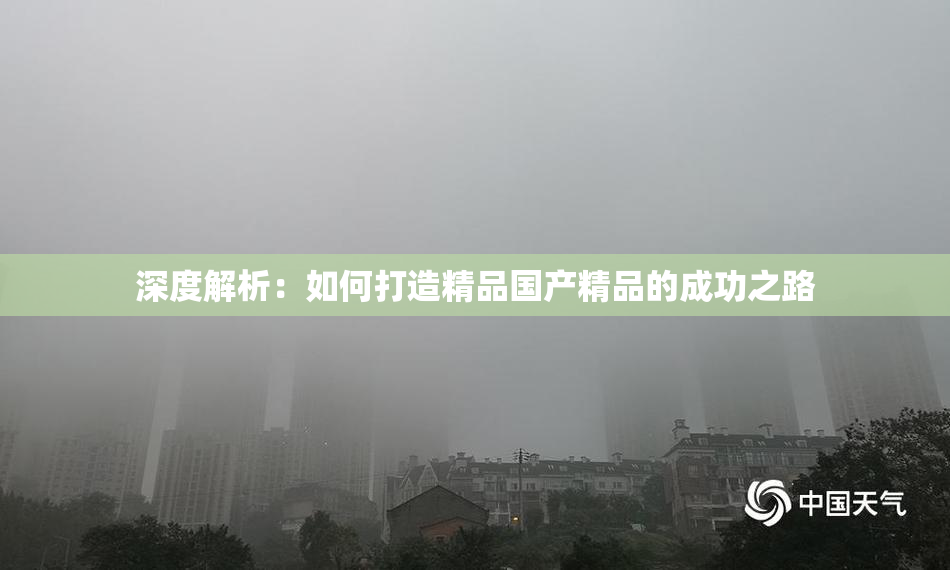 深度解析：如何打造精品国产精品的成功之路