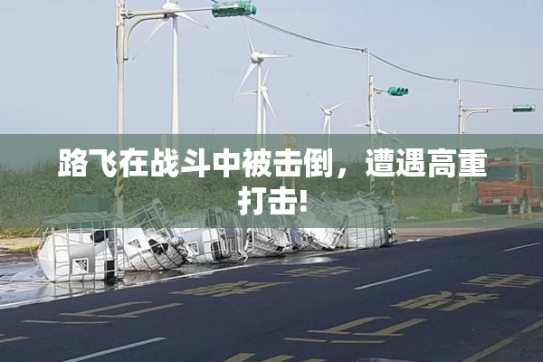 路飞在战斗中被击倒，遭遇高重打击!