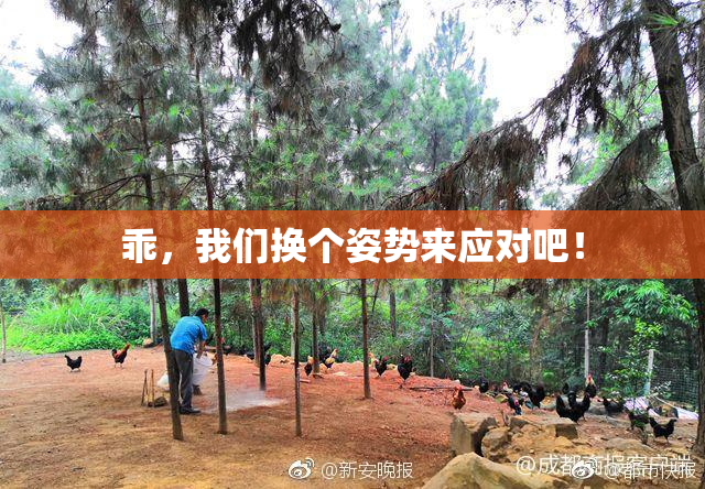 乖，我们换个姿势来应对吧！