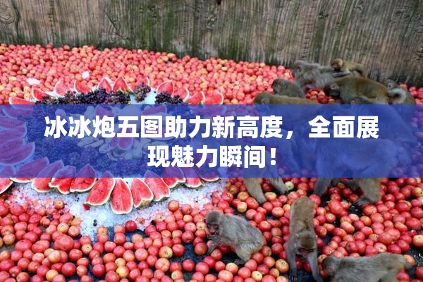 冰冰炮五图助力新高度，全面展现魅力瞬间！