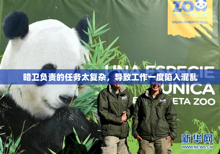 暗卫负责的任务太复杂，导致工作一度陷入混乱