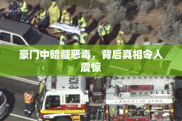 豪门中暗藏恶毒，背后真相令人震惊