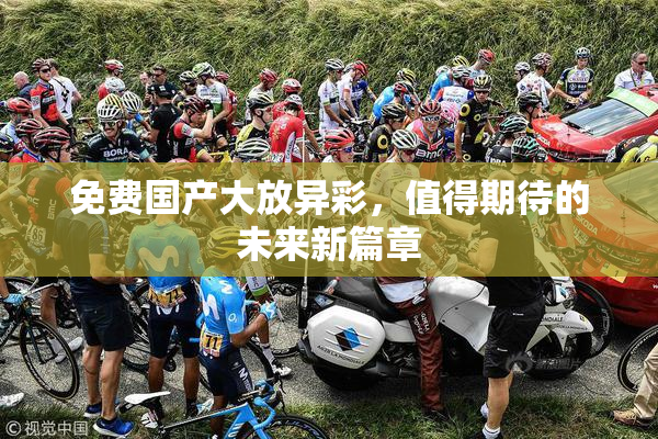 免费国产大放异彩，值得期待的未来新篇章