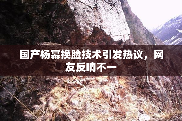 国产杨幂换脸技术引发热议，网友反响不一