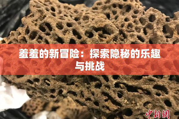 羞羞的新冒险：探索隐秘的乐趣与挑战
