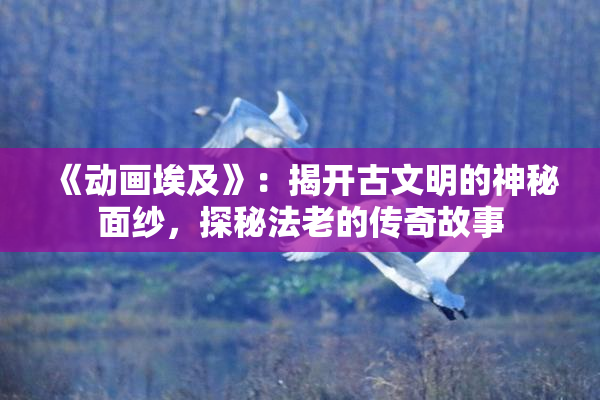 《动画埃及》：揭开古文明的神秘面纱，探秘法老的传奇故事