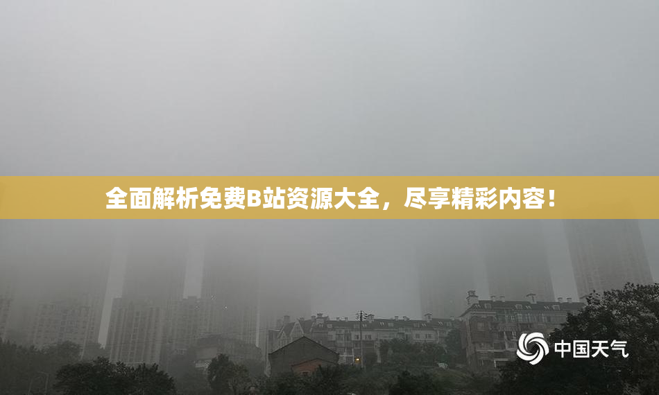 全面解析免费B站资源大全，尽享精彩内容！