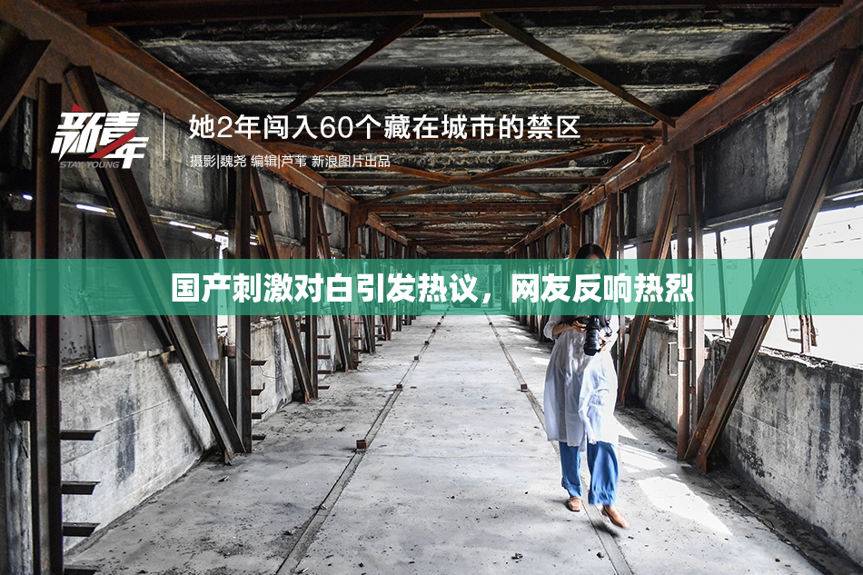 国产刺激对白引发热议，网友反响热烈