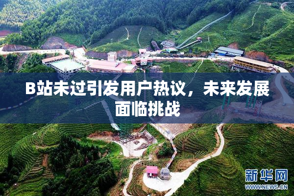 B站未过引发用户热议，未来发展面临挑战