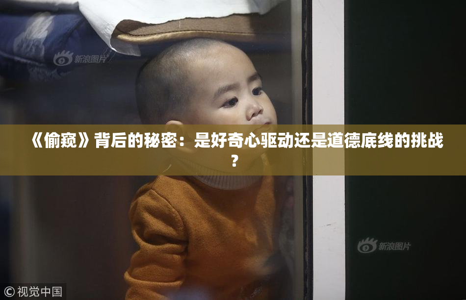 《偷窥》背后的秘密：是好奇心驱动还是道德底线的挑战？
