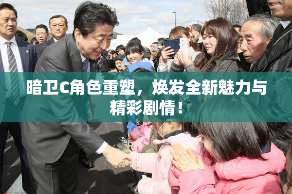 暗卫C角色重塑，焕发全新魅力与精彩剧情！