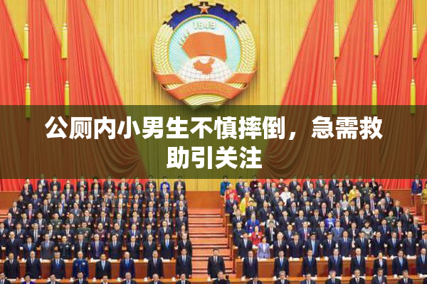 公厕内小男生不慎摔倒，急需救助引关注
