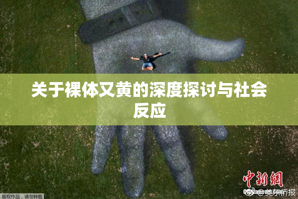 关于裸体又黄的深度探讨与社会反应