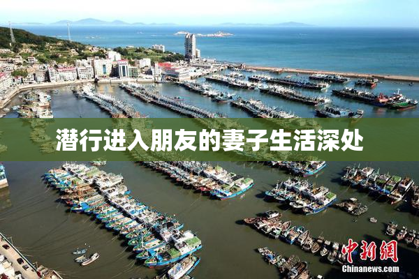 潜行进入朋友的妻子生活深处
