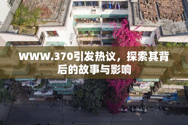 WWW.370引发热议，探索其背后的故事与影响