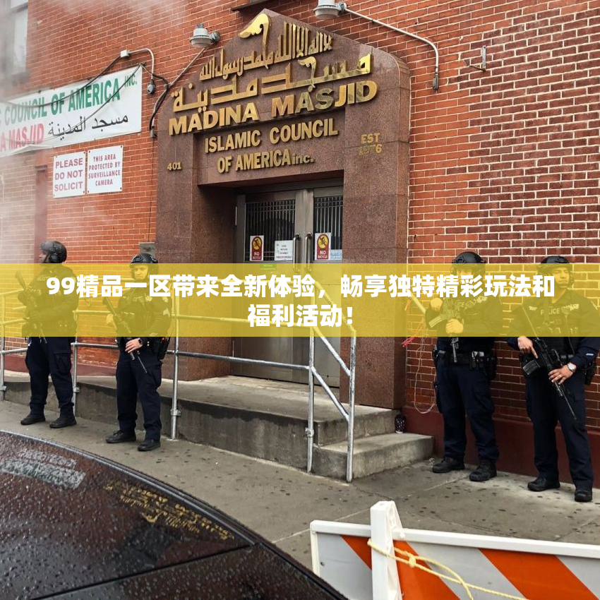 99精品一区带来全新体验，畅享独特精彩玩法和福利活动！