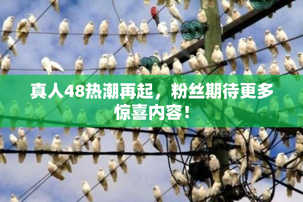 真人48热潮再起，粉丝期待更多惊喜内容！