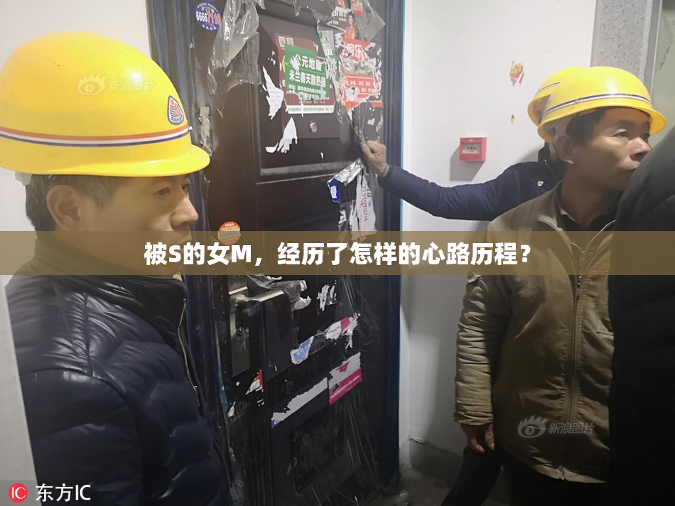 被S的女M，经历了怎样的心路历程？