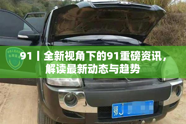 91丨全新视角下的91重磅资讯，解读最新动态与趋势