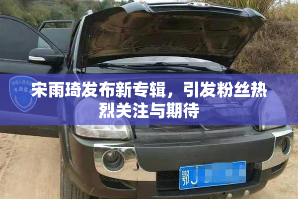 宋雨琦发布新专辑，引发粉丝热烈关注与期待