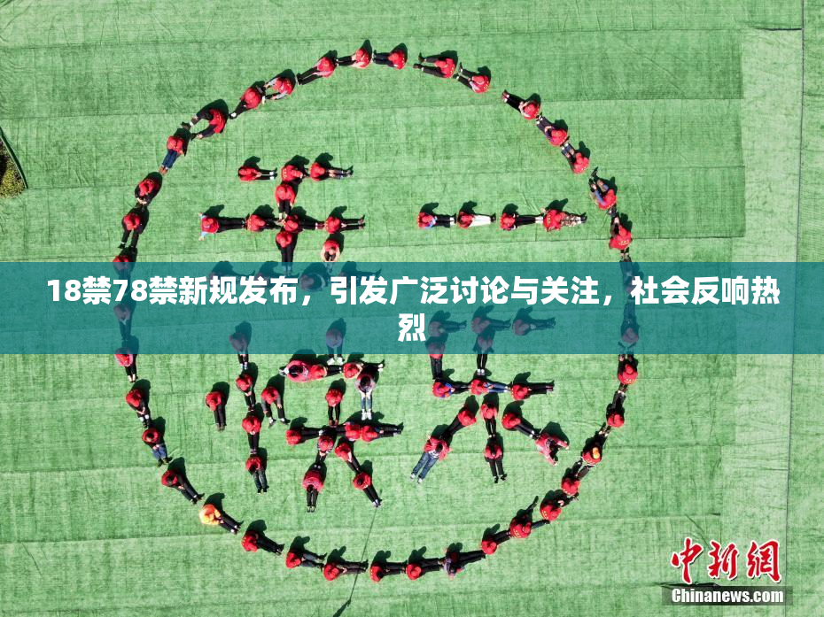18禁78禁新规发布，引发广泛讨论与关注，社会反响热烈