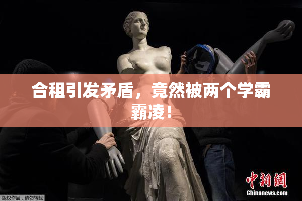 合租引发矛盾，竟然被两个学霸霸凌！