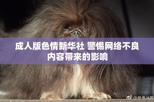 成人版色情新华社 警惕网络不良内容带来的影响