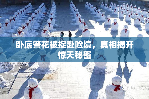 卧底警花被捉赴险境，真相揭开惊天秘密