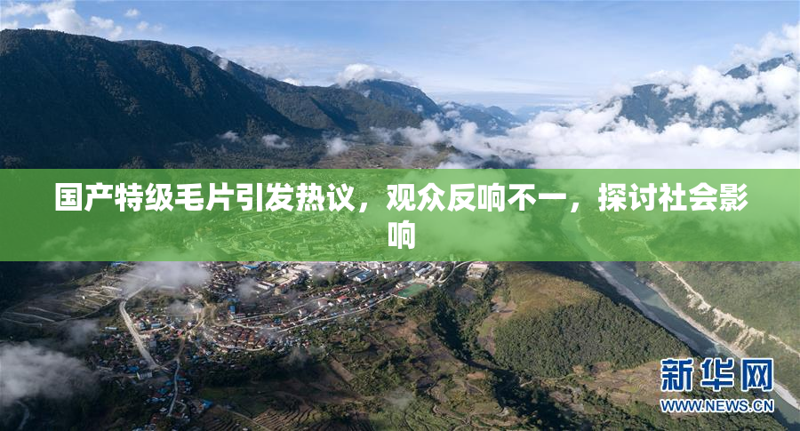 国产特级毛片引发热议，观众反响不一，探讨社会影响