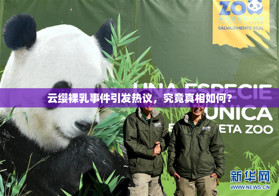 云缨裸乳事件引发热议，究竟真相如何？
