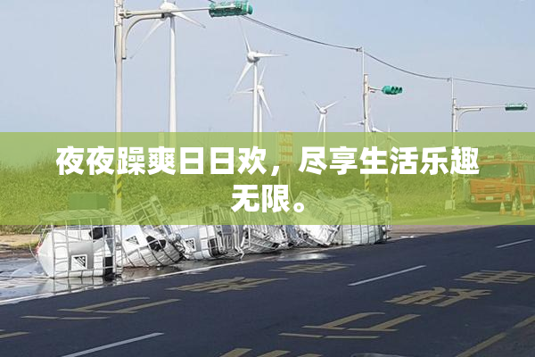 夜夜躁爽日日欢，尽享生活乐趣无限。
