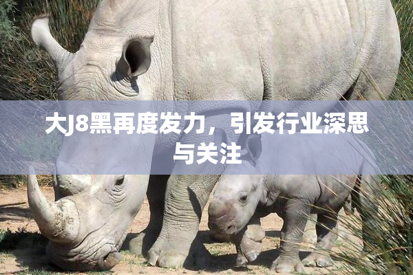 大J8黑再度发力，引发行业深思与关注