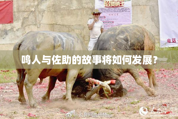 鸣人与佐助的故事将如何发展？