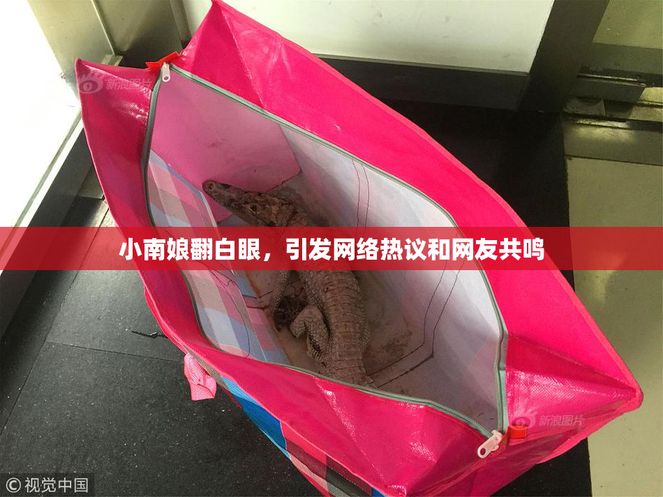 小南娘翻白眼，引发网络热议和网友共鸣
