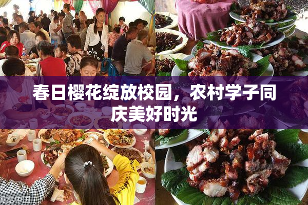 春日樱花绽放校园，农村学子同庆美好时光