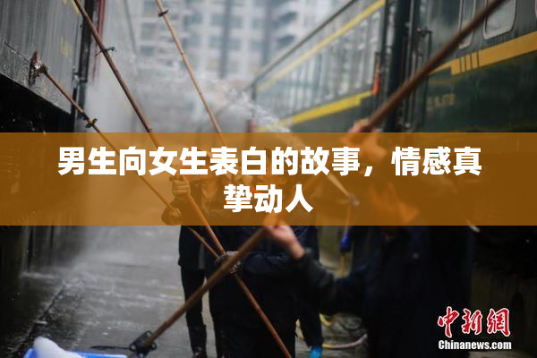 男生向女生表白的故事，情感真挚动人
