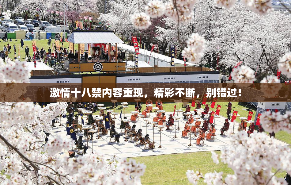 激情十八禁内容重现，精彩不断，别错过！